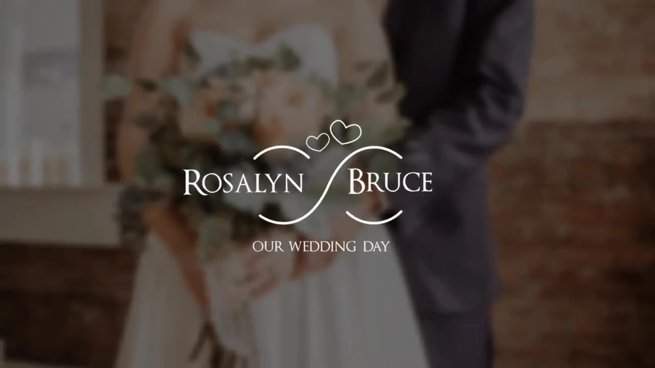 优雅的婚礼标题像素设计精选AE模板