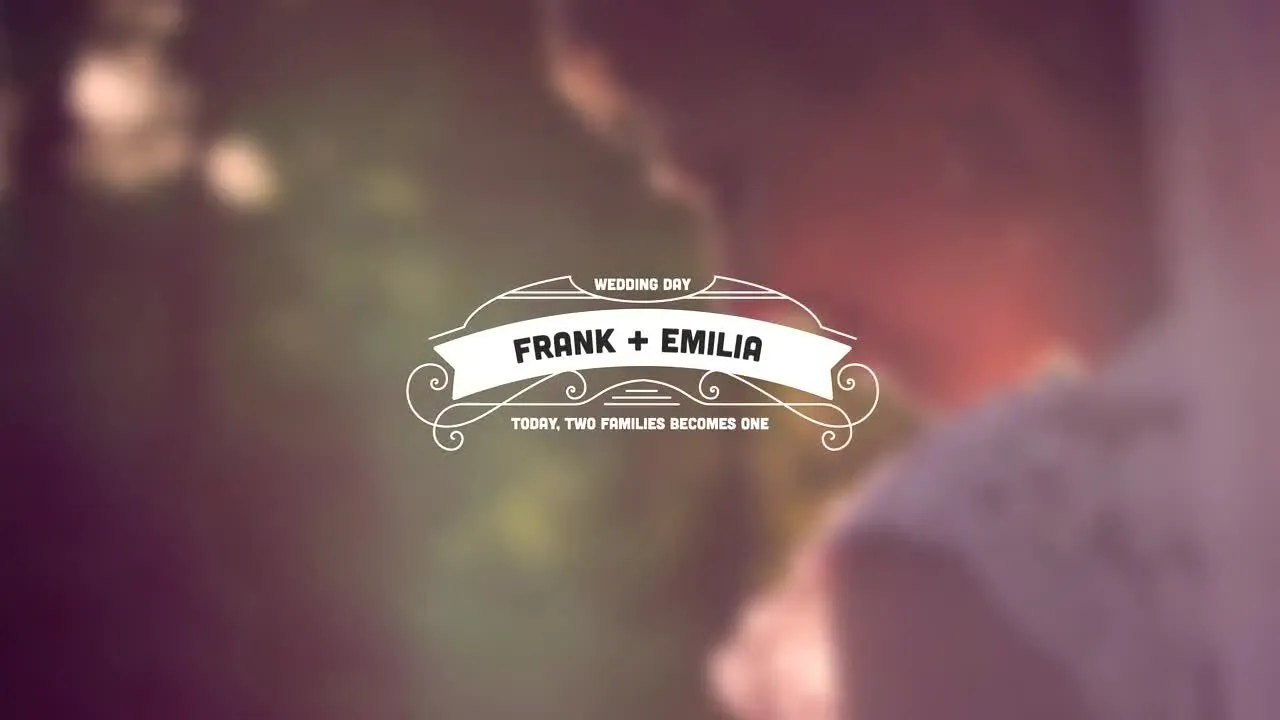 20个婚礼标题动画像素设计精选AE模板