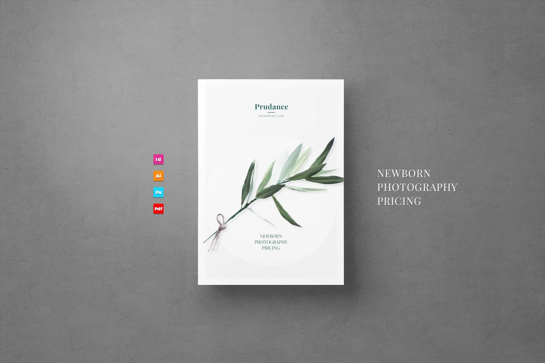 新生婴儿艺术照摄影套餐传单模板 Newborn Pricing Flyer插图