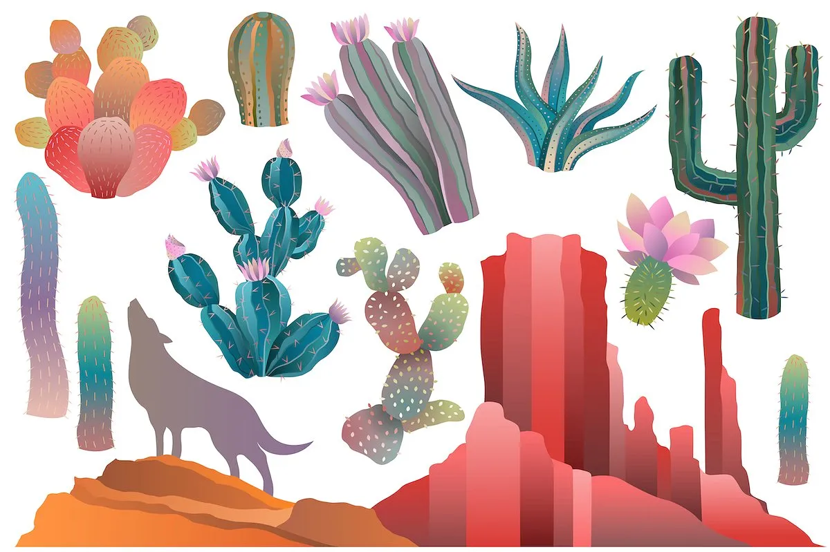 沙漠中的仙人掌矢量剪贴画 Desertamp; Cactus Clipart Vector, PNG