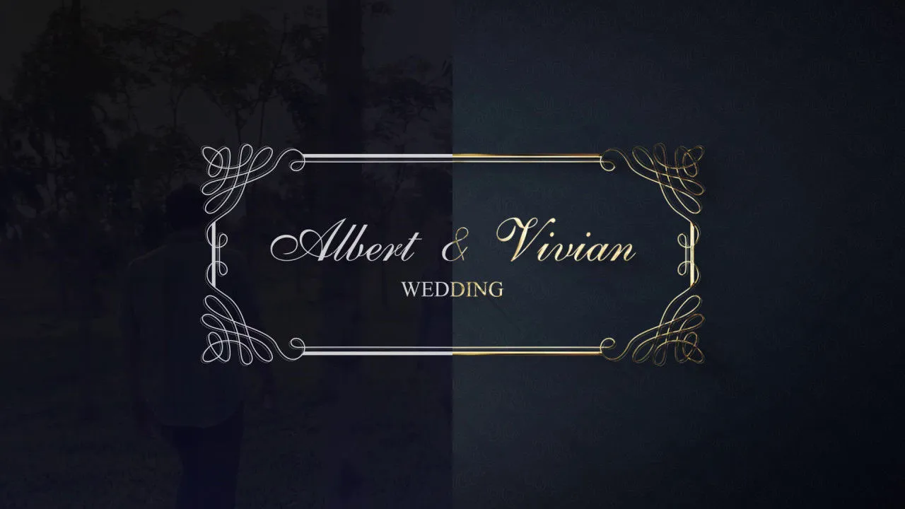 精美的婚礼标题像素设计精选AE模板