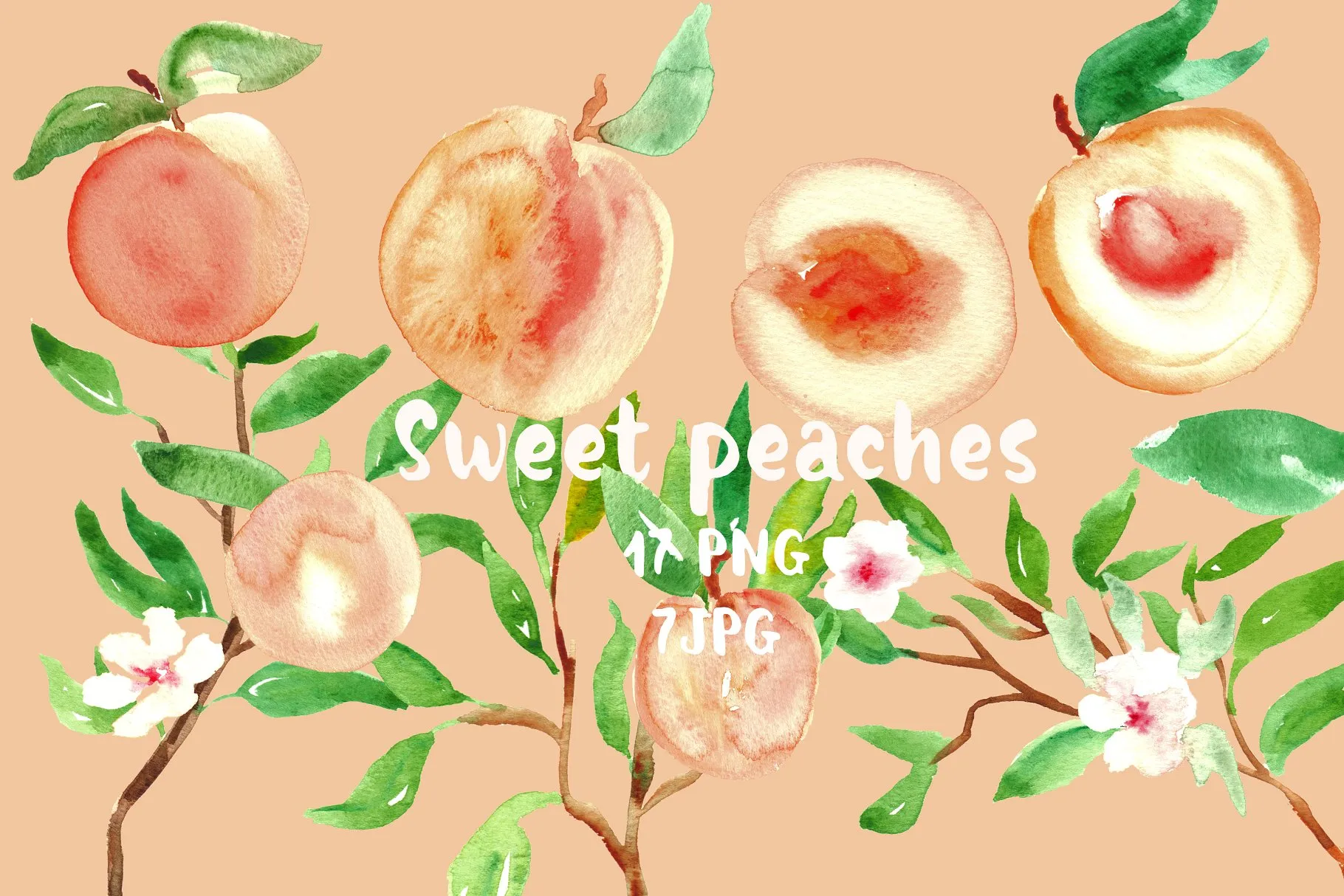 水蜜桃水彩剪贴画 Peach. Watercolor clipart.插图