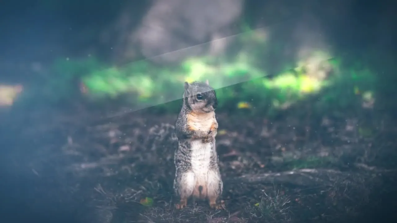 时尚简介的幻灯片演示动画像素设计精选AE模板