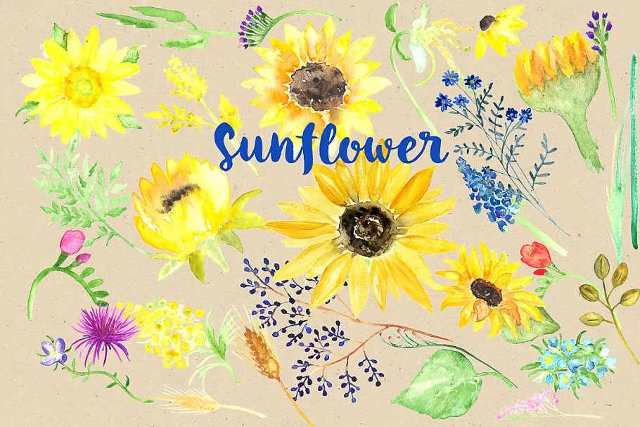 向日葵水彩剪贴画 Sunflower Watercolor Clipart插图(2)