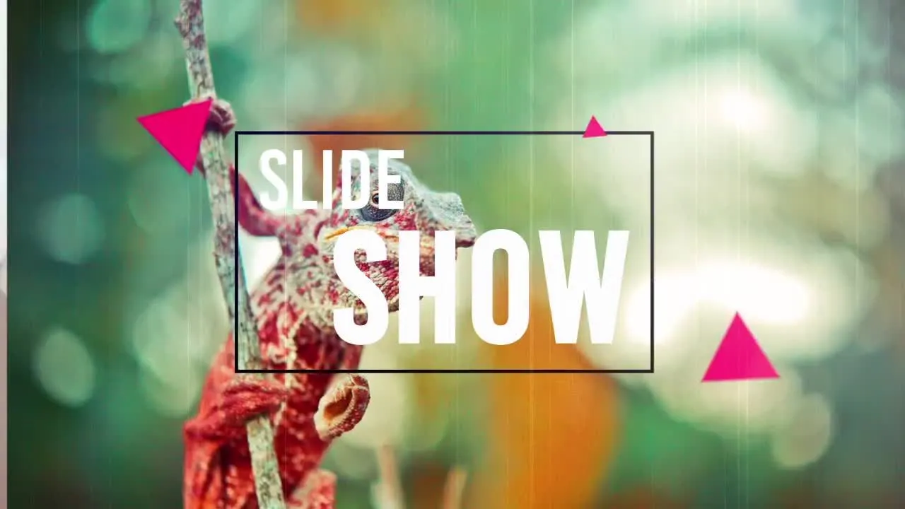 充满活力的旅游幻灯片照片展示像素设计精选AE模板