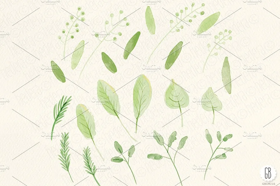 花卉，蔷薇，毛茛等水彩元素 Watercolor flowers, rose, ranunculus插图(2)