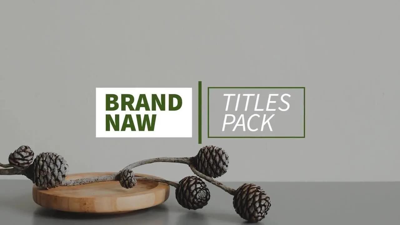 下三分之一字幕条文字标题动画像素设计精选AE模板