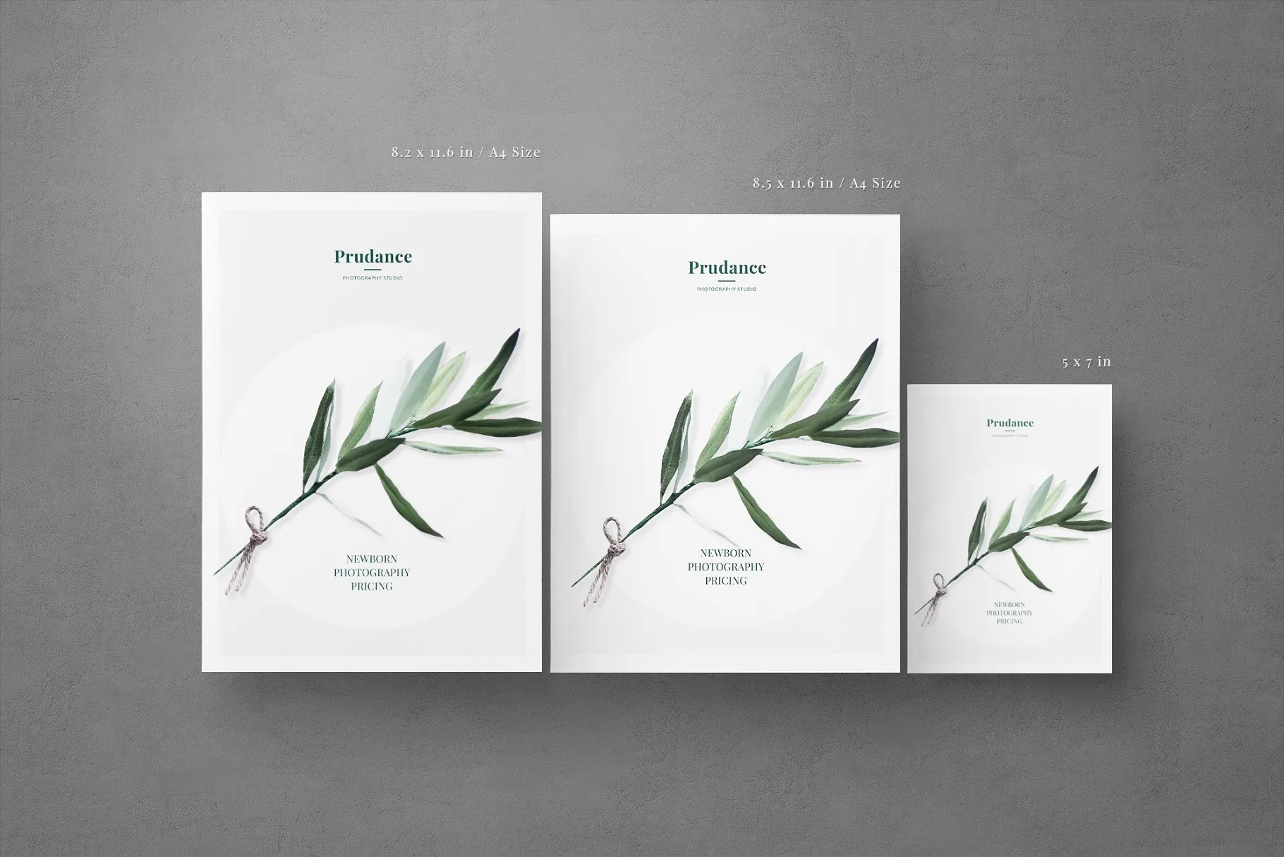 新生婴儿艺术照摄影套餐传单模板 Newborn Pricing Flyer插图(2)