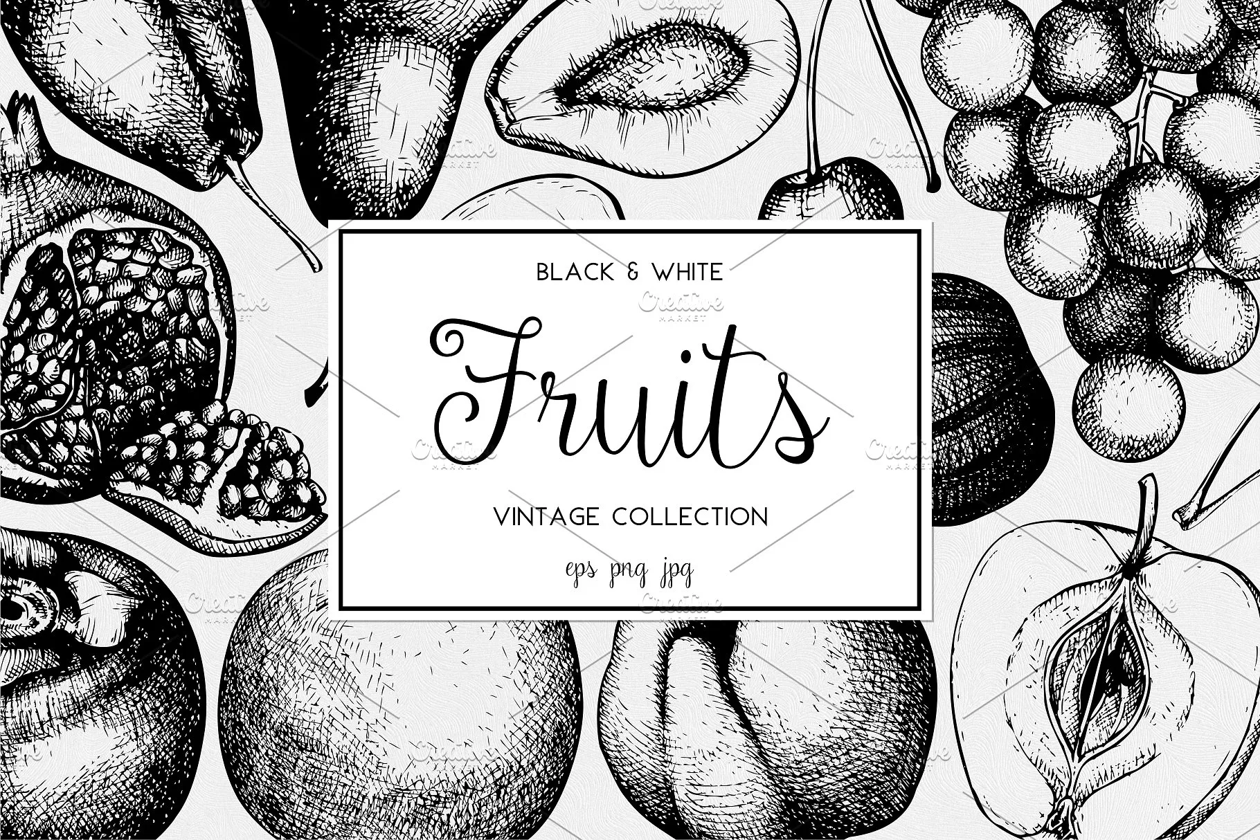 墨水手绘水果素材合集 Ink hand drawn fruit collection