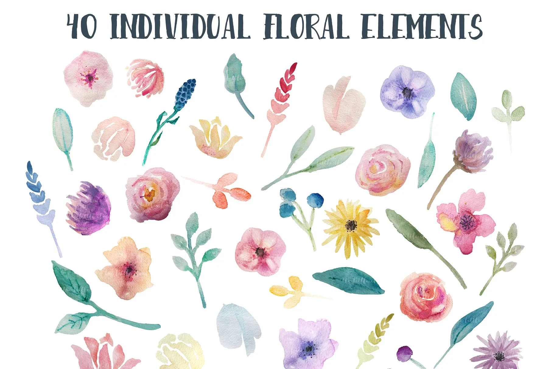 水彩花卉素材集(元素、花环&花框) Go Floral! watercolor clip art set插图(1)