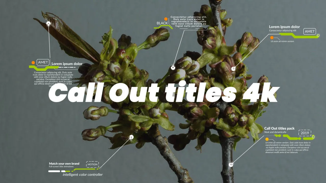 10组4K全屏标题动画视频特效像素设计精选AE模板