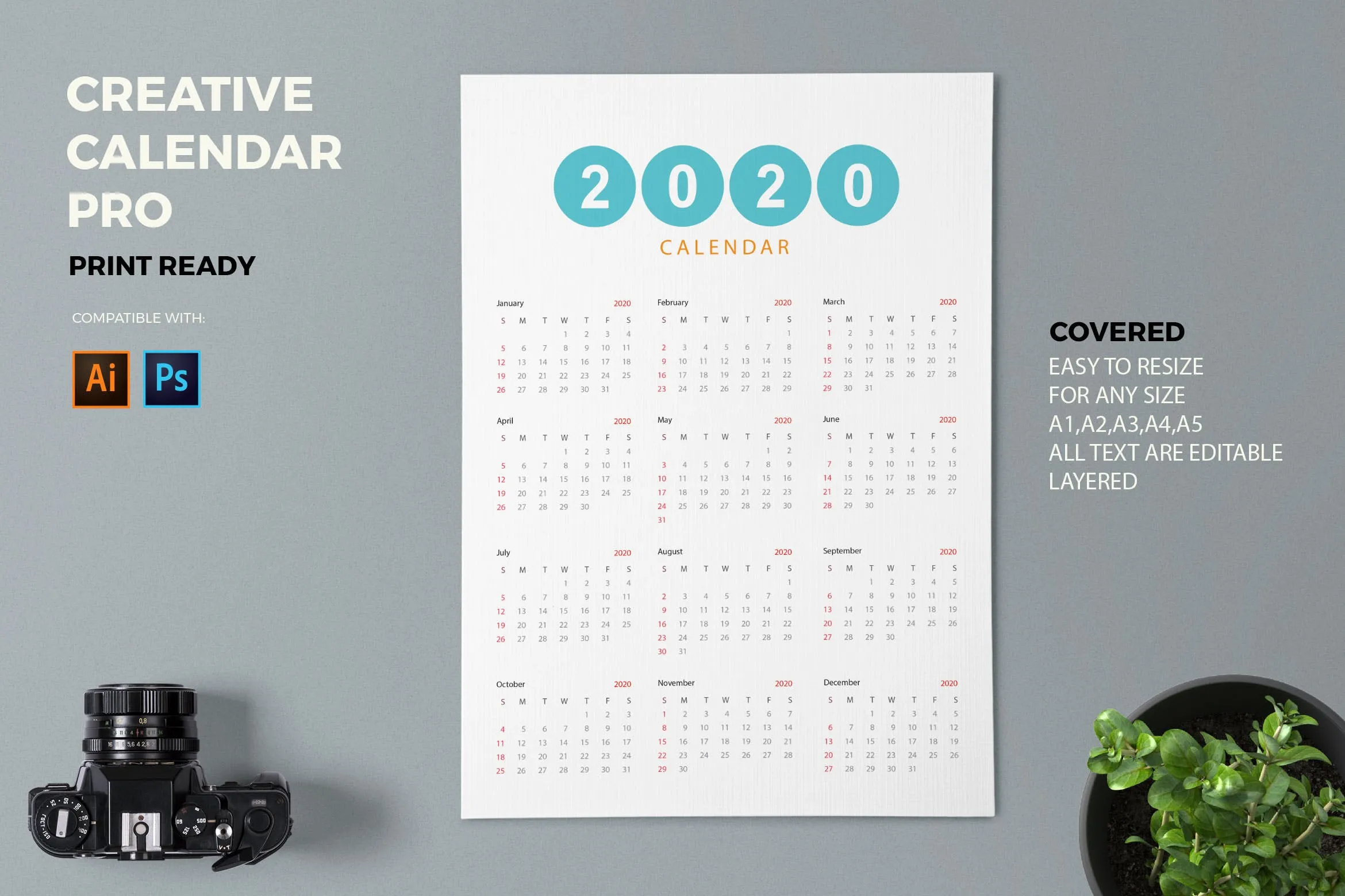 简约设计风格2020年单页日历设计模板 Creative Calendar Pro 2020插图