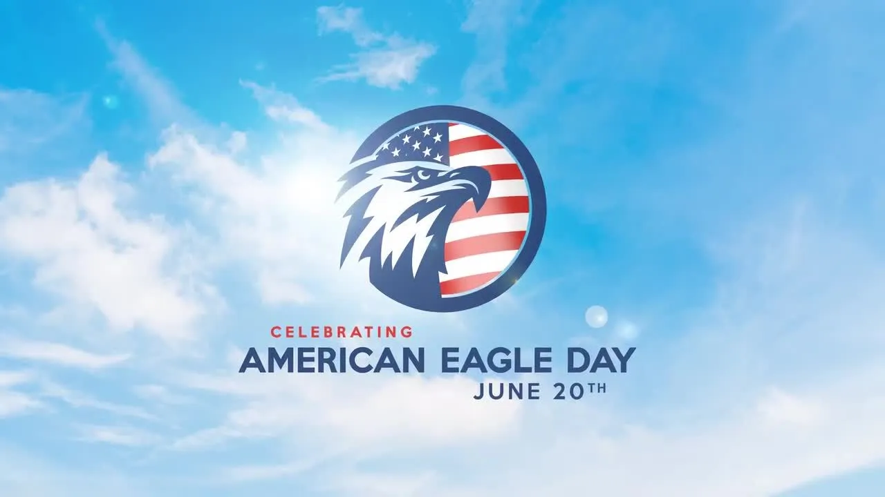 美国鹰节像素设计精选AE模板